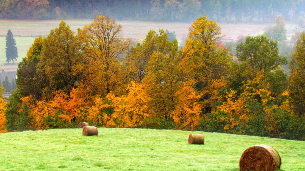 Agro Na Gorce Villa Barcinek Cameră foto